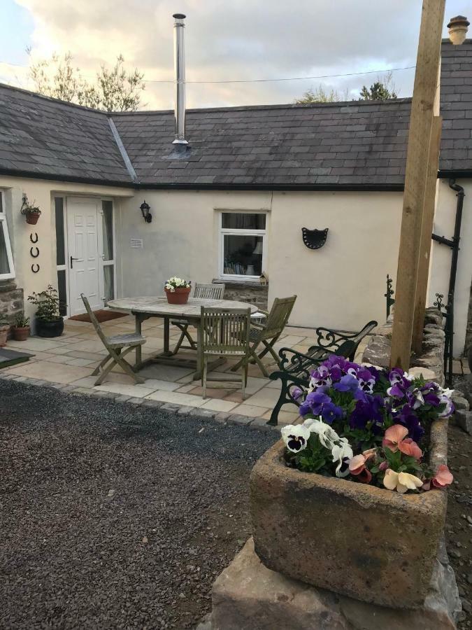 Tracey'S Farmhouse Cottage Belfast Exteriör bild